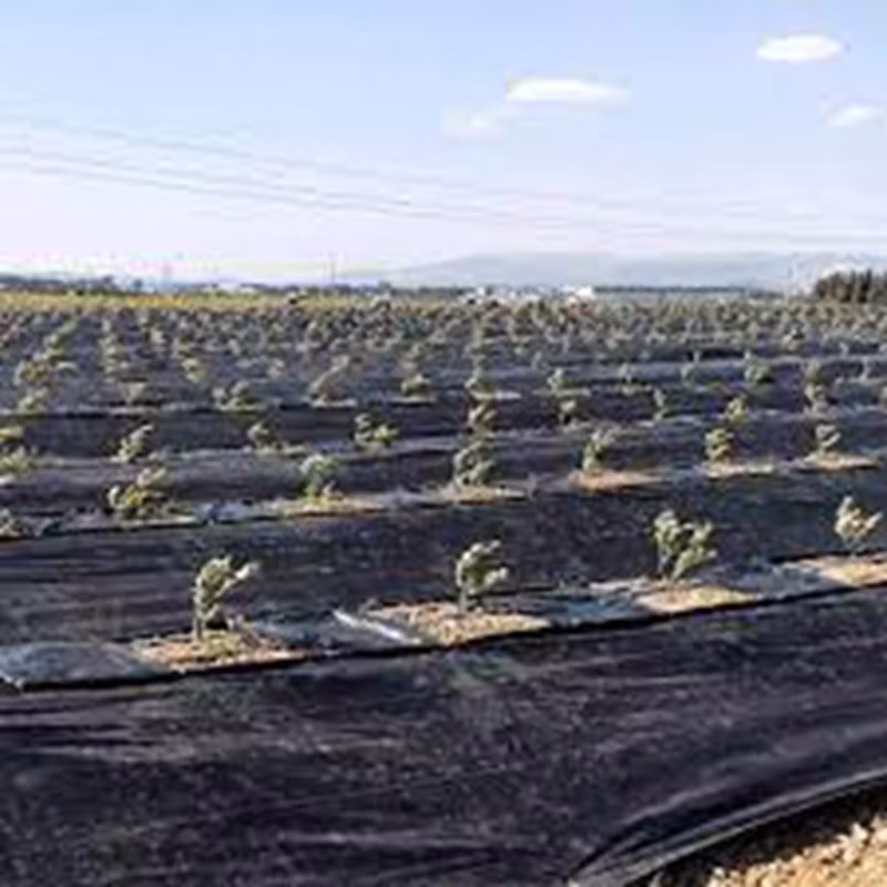 Custom Grass Proof Cloth to Prevent Grass Growth in Garden Weed Mat