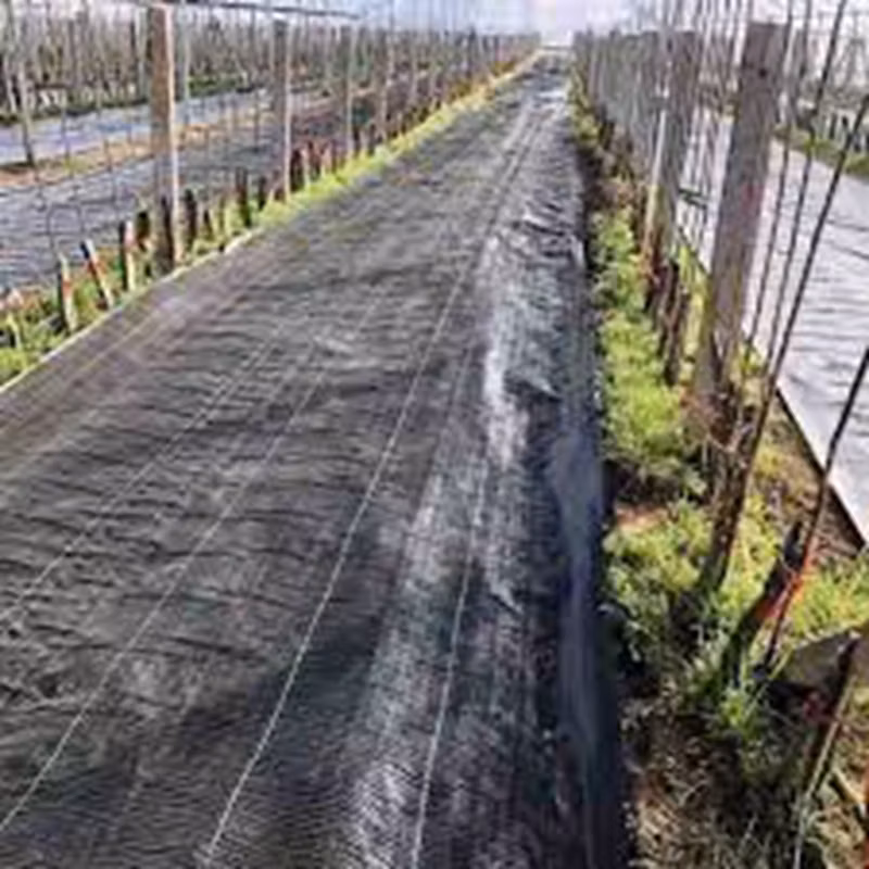 Custom Grass Proof Cloth to Prevent Grass Growth in Garden Weed Mat