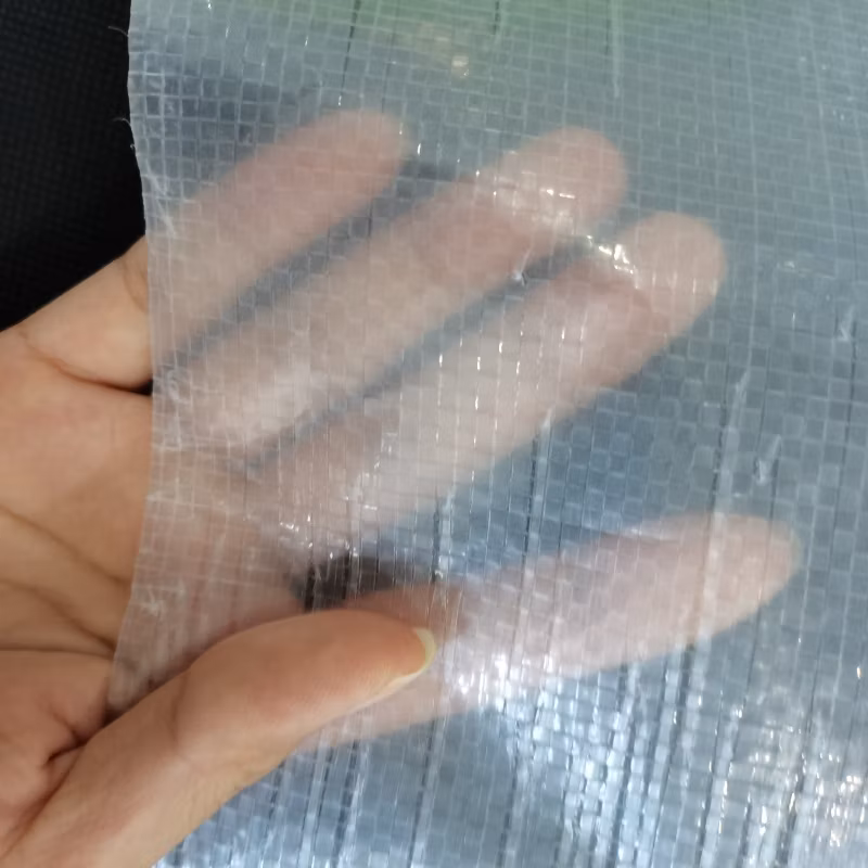 Factory Supply Anti Weed Mat Plastic Mulch Film Agricultural Black Plastic Ground Cover Good Price