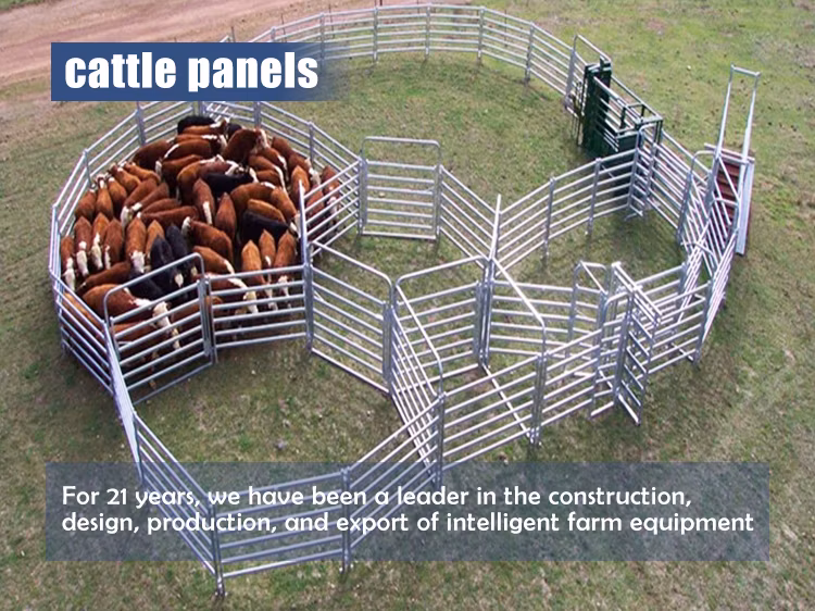 Modernize Your Terrace with Wood Plastic Composite Fencing &amp; Trellis for Enhanced Privacy