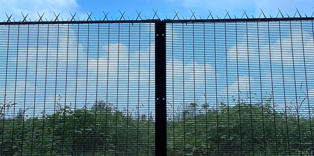 Metal ISO9001 Approved Wire Mesh Panel Small Netting Iron Garden 358 Security Fence