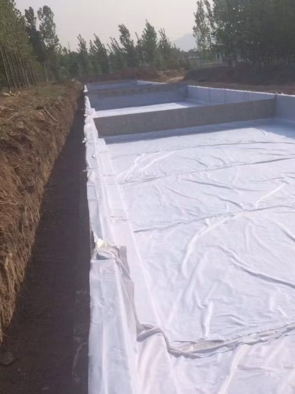 Pet/PP Short/Continuous Filament Fiber Needle Punched Nonwoven/Woven Geotextile for Filtration Reinforcement Drainage Separation