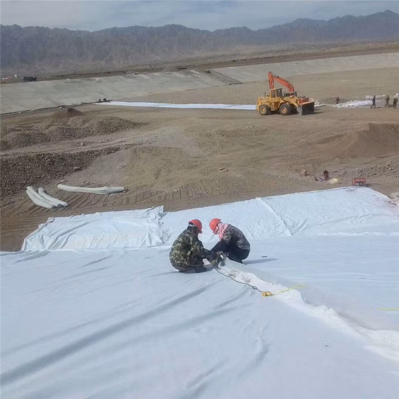 Affordable Geotextile Driveway Fabrics Non Woven Geotextile Geotextile Fabric for Constructions Projects