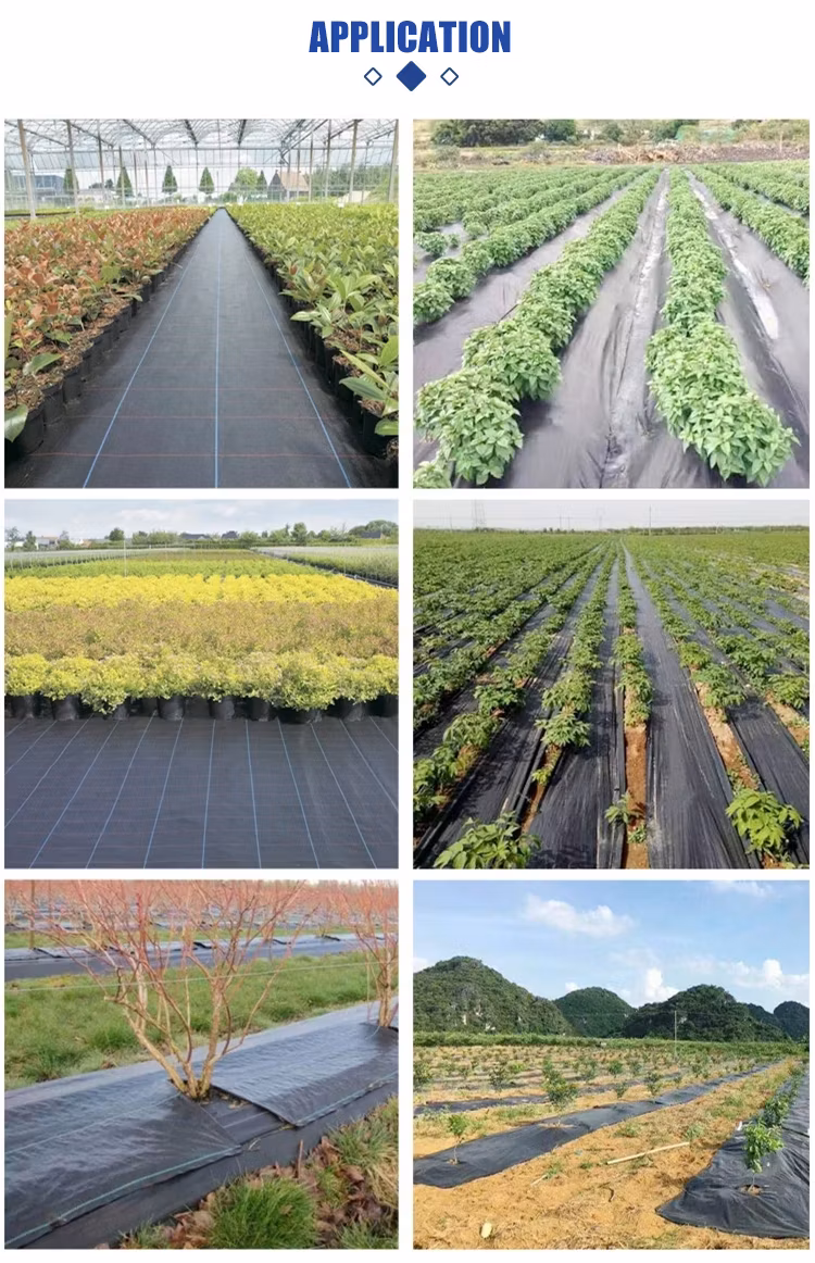 Plastic PP Anti Weed Matting, Anti Weed Cloth, Weed Mat, Ground Cover, Weed Barrier