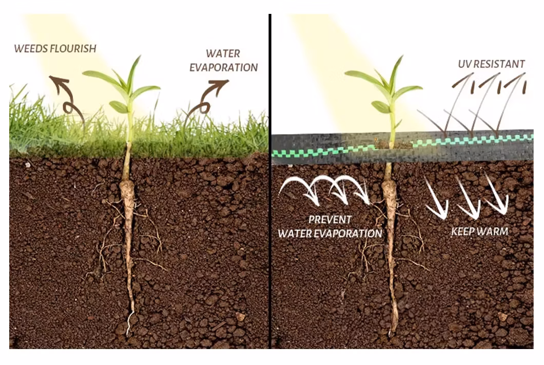 UV Treated Agriculture Weed Barrier PP Woven Fabric Anti Weed Mat Weed Control Ground Cover