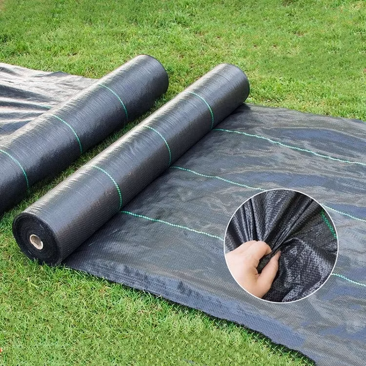 Plastic PP Anti Weed Matting, Anti Weed Cloth, Weed Mat, Ground Cover, Weed Barrier