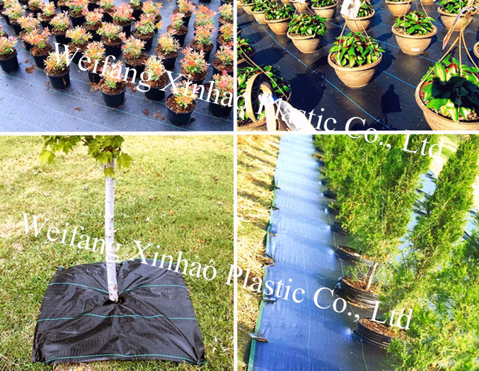 Black PP Woven Garden Product Agricultural Membrane Agriculture Ground Cover Weed Barrier