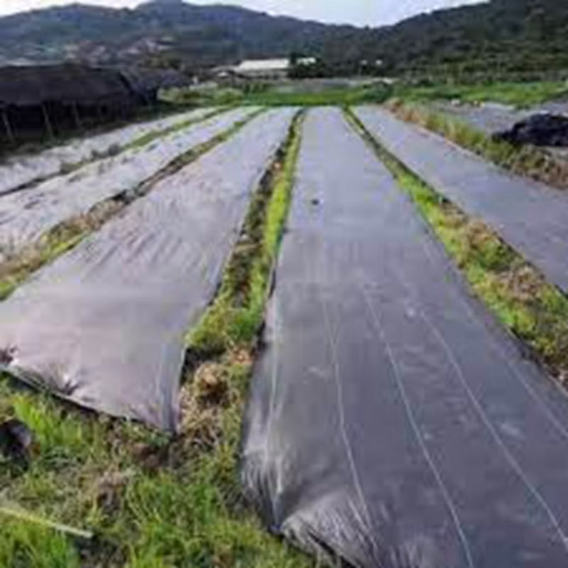 Custom Grass Proof Cloth to Prevent Grass Growth in Garden Weed Mat