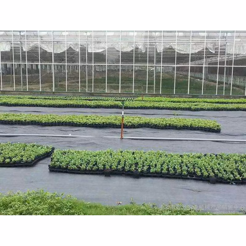 PP Weed Barrier Horticulture Plastic Woven Weed Control Mat Ground Cover for Agricultural Plantings/Greenhouse/Garden Vegetables Flowers Usage