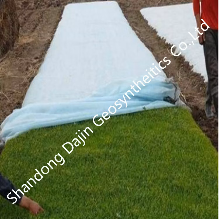 600g/Sm Short Fiber Pet Geotextile for Filterand Drain Away Water