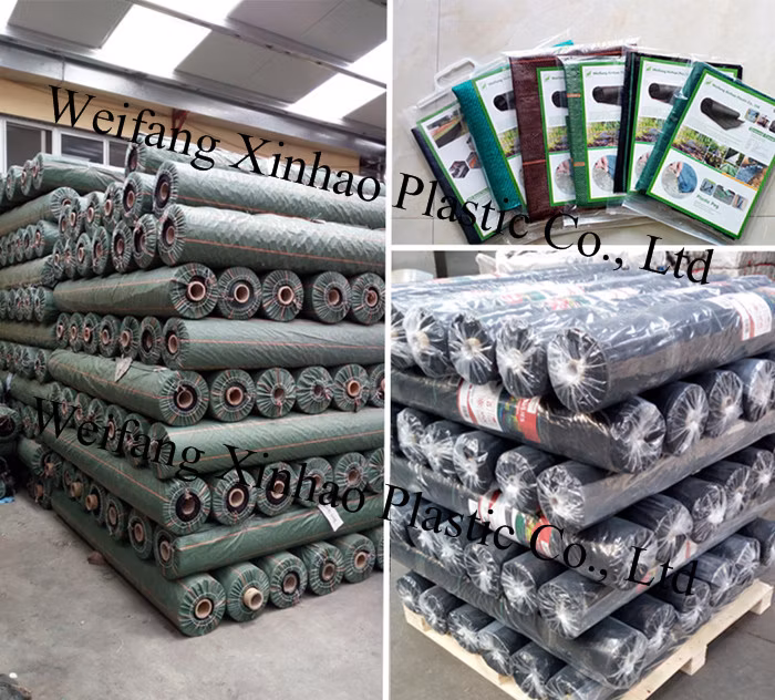 Black PP Woven Garden Product Agricultural Membrane Agriculture Ground Cover Weed Barrier