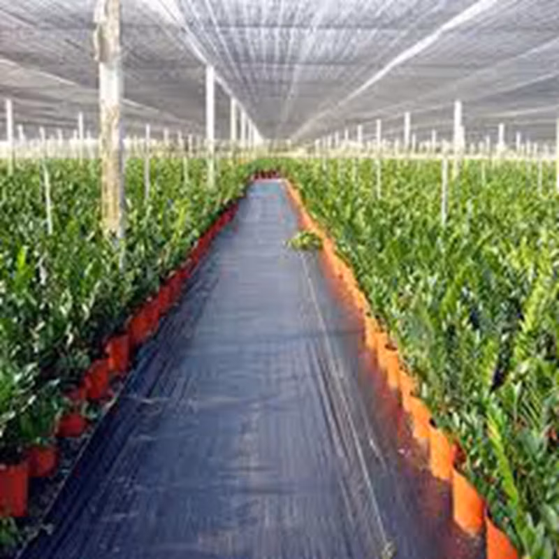 Custom Grass Proof Cloth to Prevent Grass Growth in Garden Weed Mat