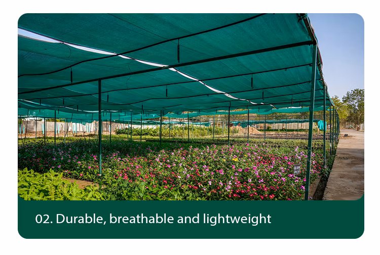 Greenhouse Stabilizer Shade Net