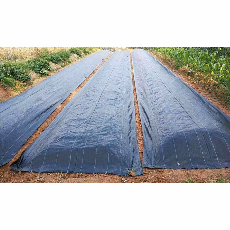 PP Weed Barrier Horticulture Plastic Woven Weed Control Mat Ground Cover for Agricultural Plantings/Greenhouse/Garden Vegetables Flowers Usage