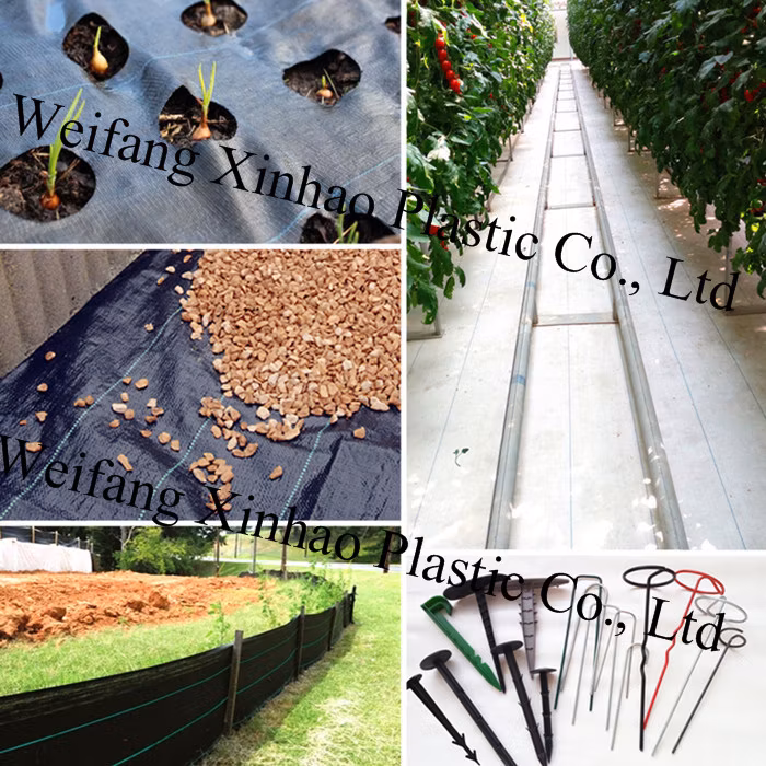 Black PP Woven Garden Product Agricultural Membrane Agriculture Ground Cover Weed Barrier