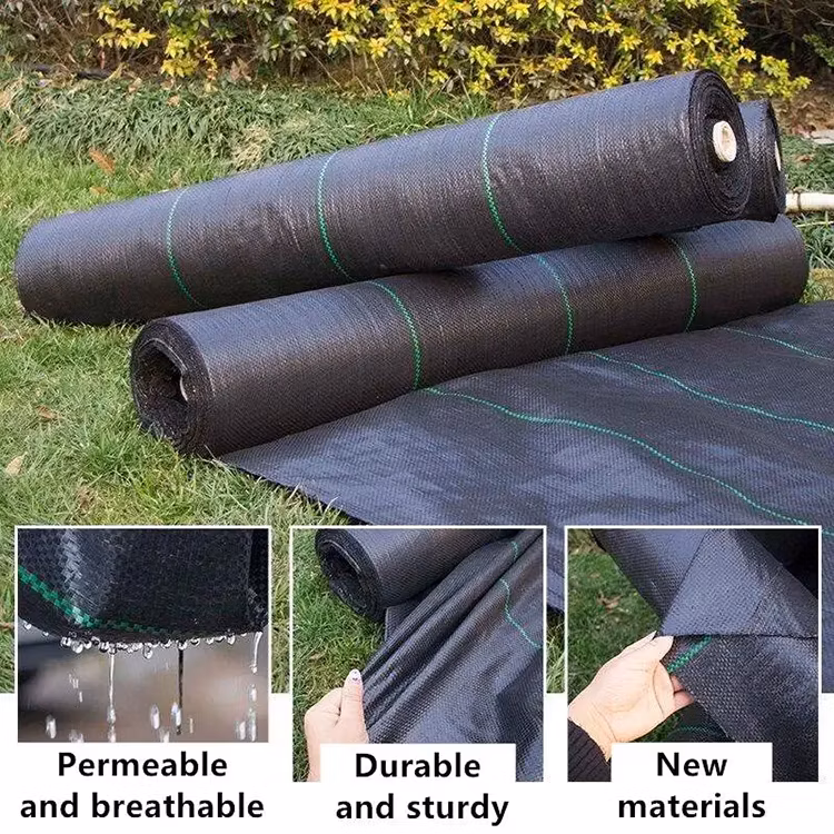 Plastic PP Anti Weed Matting, Anti Weed Cloth, Weed Mat, Ground Cover, Weed Barrier