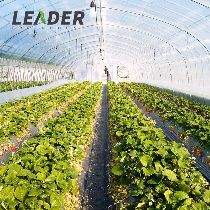 Best Agricultural Garden Planting Used Grass Cloth Ground Cover Woven Fabric Weed Mat
