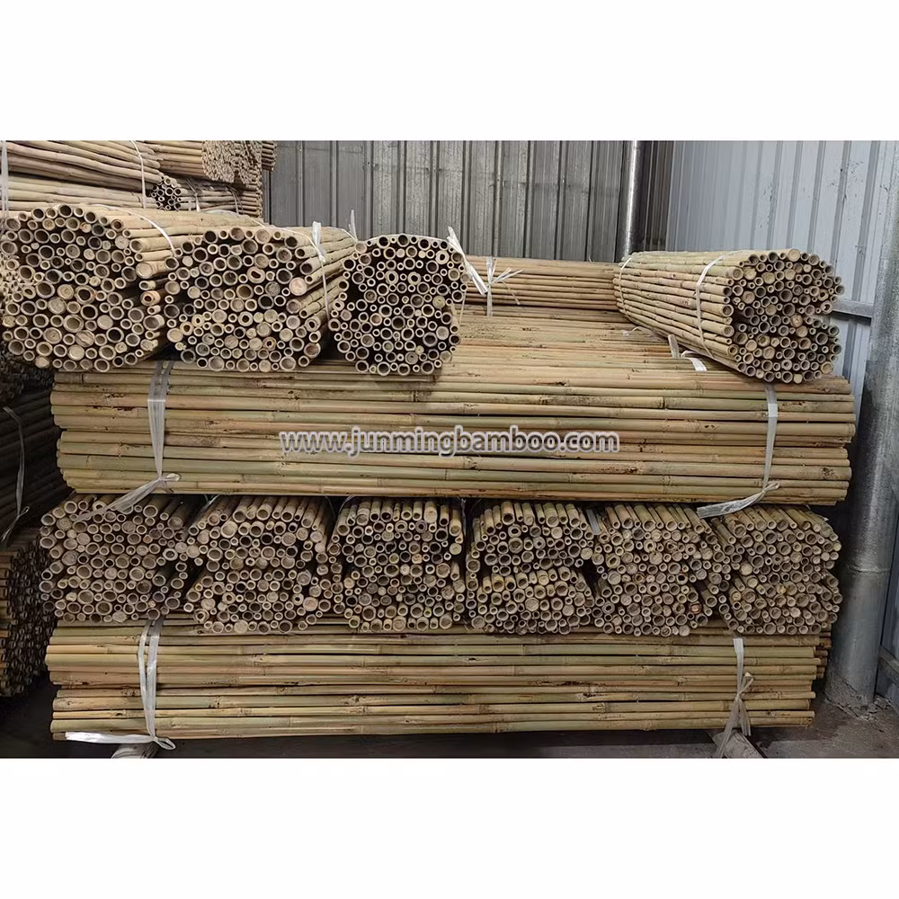 Dia. 28-35mm Wholesale Price Decorative Building Bamboo Fence Large Bamboo Natural Bamboo Poles
