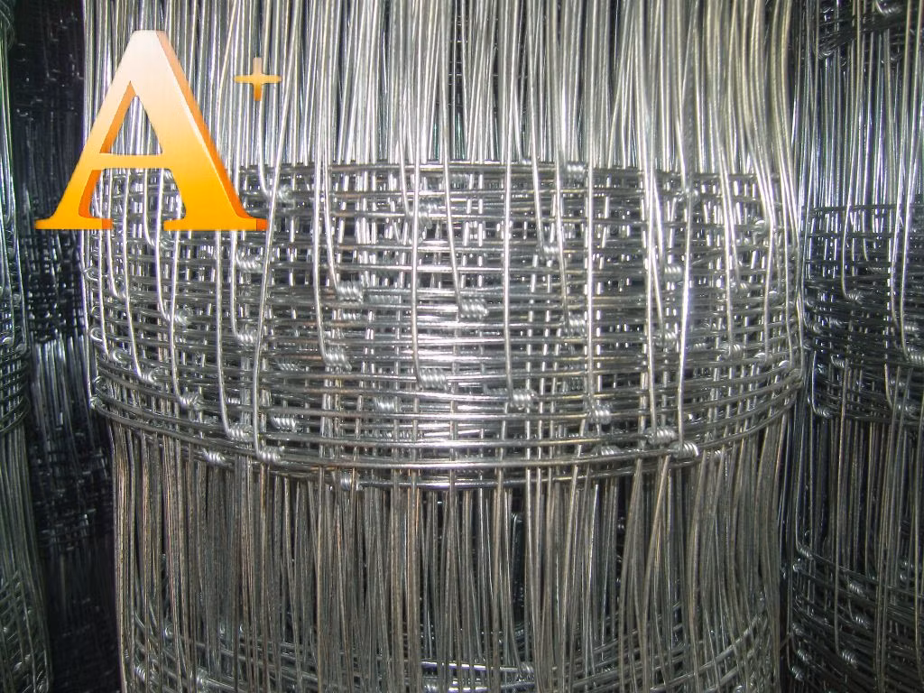 Hot Dipped Galvanized Hinged Knot Deer Fence