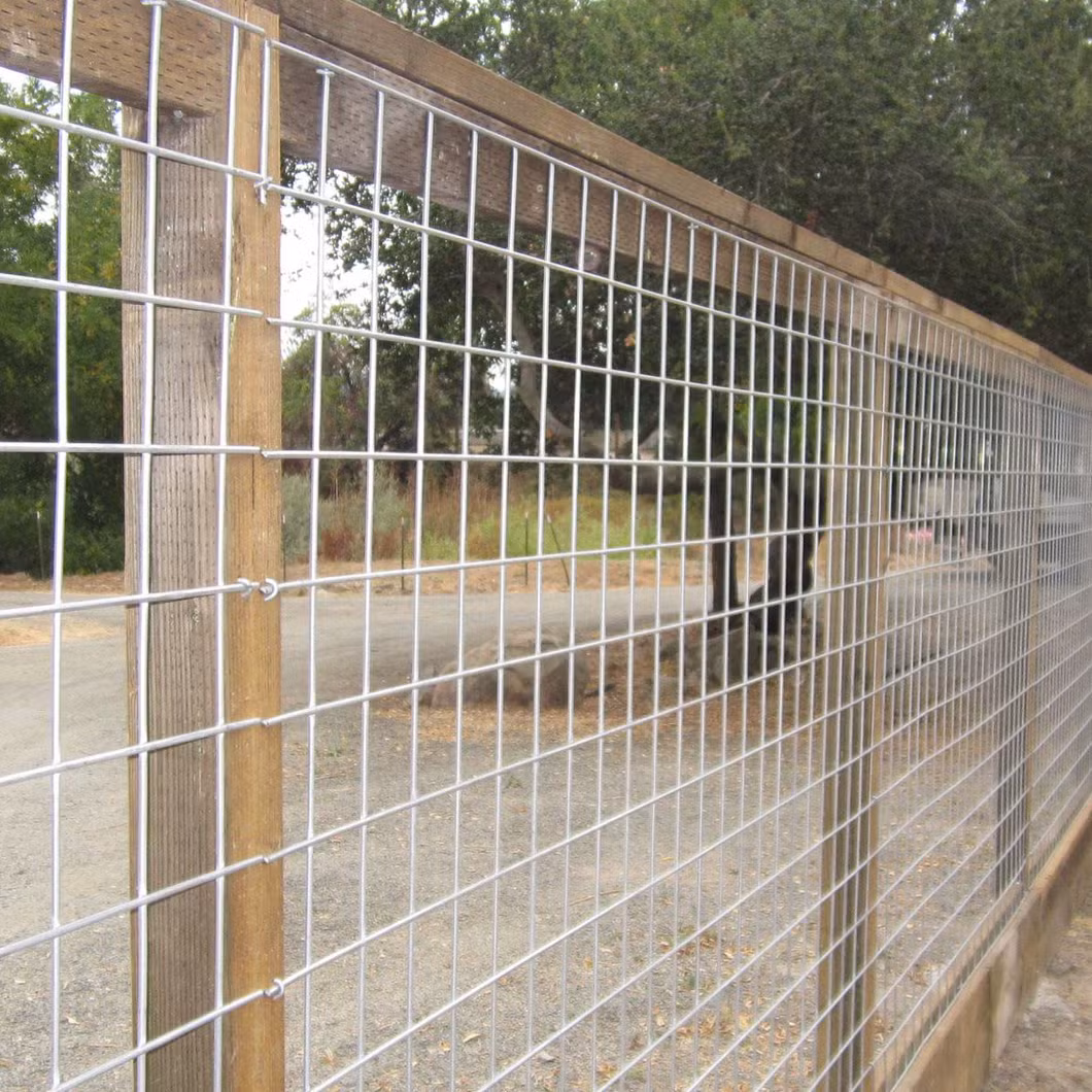 4X4 Galvanized Cattle Panel Welded Wire Mesh Fenceelectro Galvanized Welded Mesh Panel
