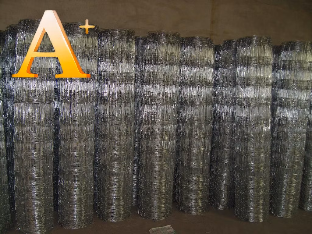 Hot Dipped Galvanized Hinged Knot Deer Fence