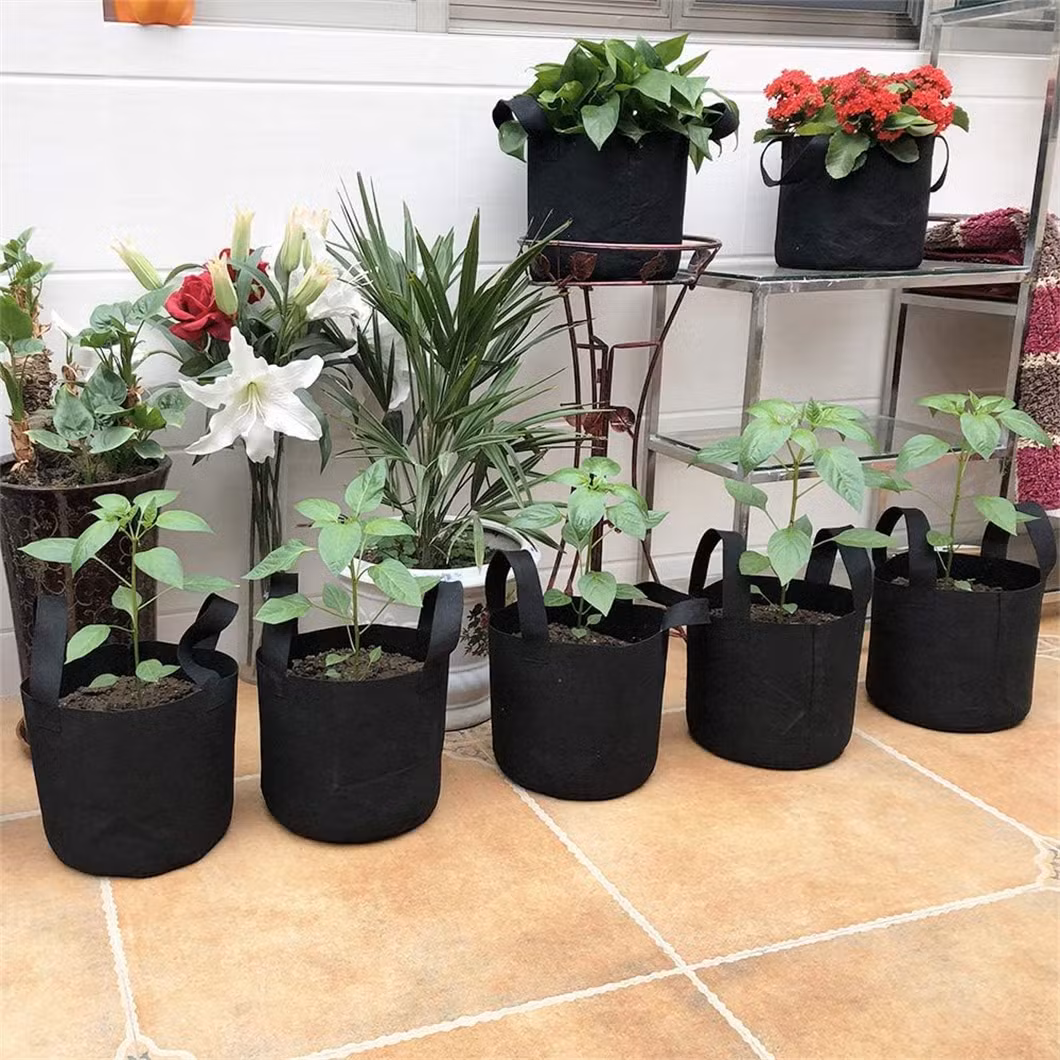 Heavy Duty 5-Pack 10 Gallon Plant Grow Bags for Gardening