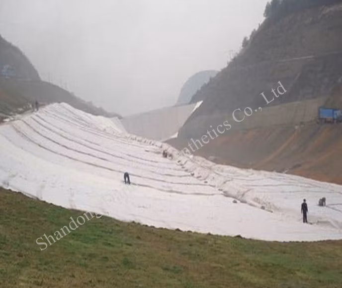 Geotextile Vertical Garden Bag Polyester Fabric for Drainage