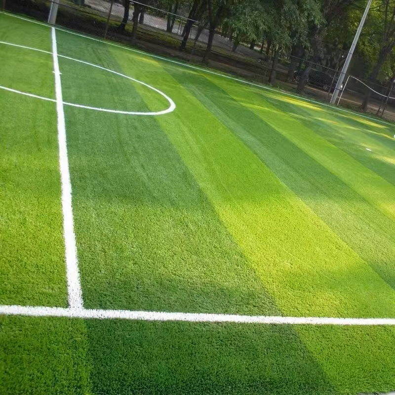 5-8 Years Landscaping Lw PP Bag Artificial for Fence Sport Grass