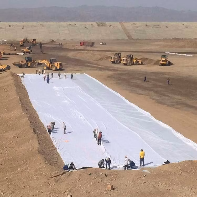 Nonwoven Geotextile Membrane Non Woven Filter Fabric for Erosion Control Drainage