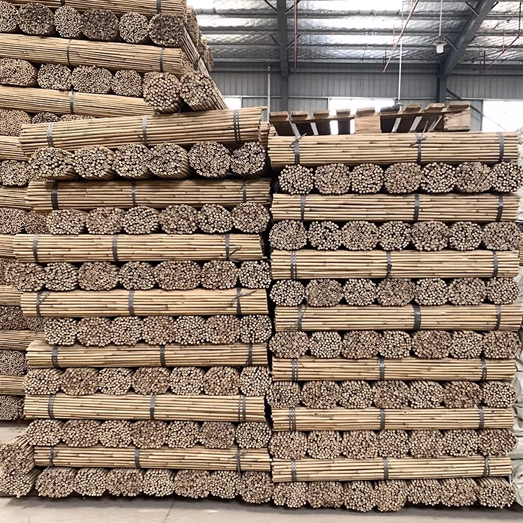 Bamboo Plant Fan Trellis H85cm