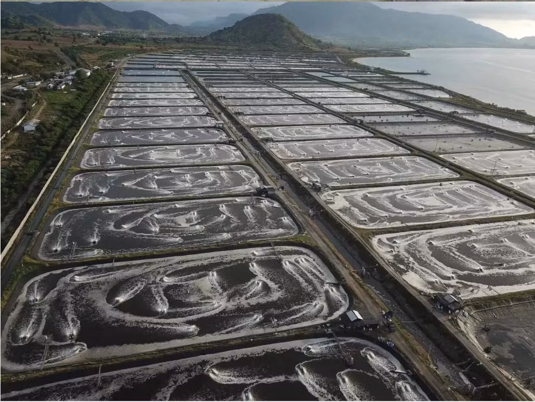 Polyester Filament Nonwoven Geotextile /Geotextile Drainage Fabric Geotextiles Fabric Price for Roadswork
