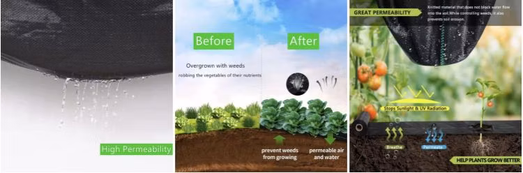 Factory Greenhouse Polypropylene Woven Weed Control Mat Ground Cover Mesh Fabric Landscape Fabric Membrane