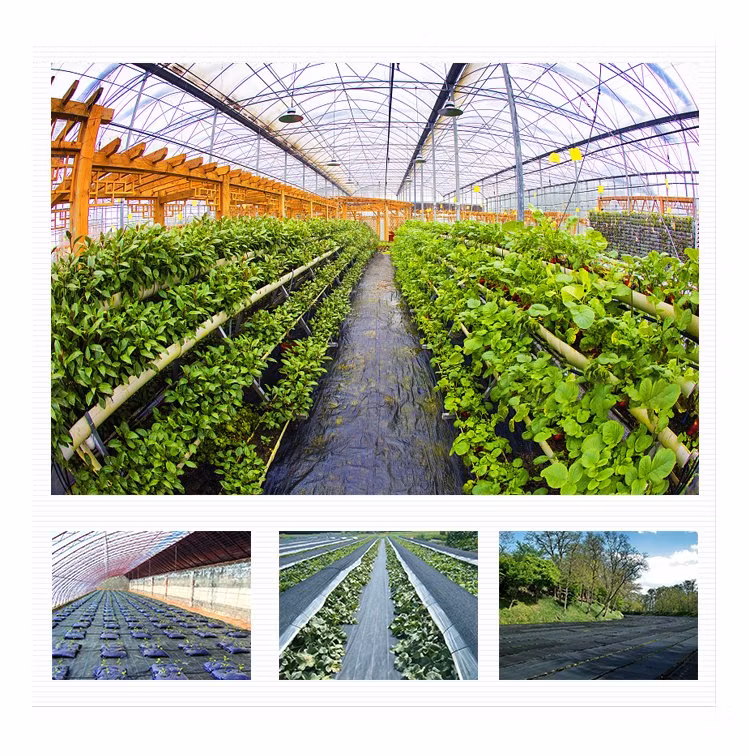 2021 New Ground Cover Fabric with UV Stabilized