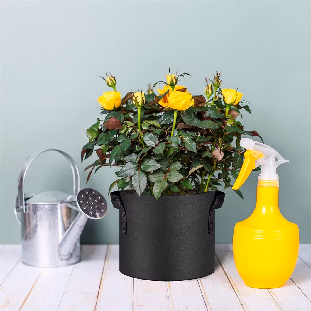 Heavy Duty 5-Pack 10 Gallon Plant Grow Bags for Gardening