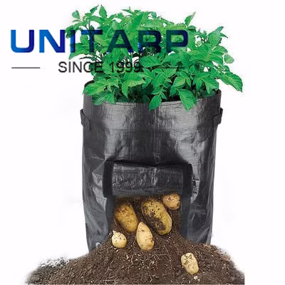 Innovative Plant Cultivation Grow Bags Ideal for Urban Gardening with Space Saving Designs for Small Balconies