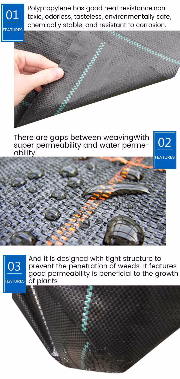 China Factory Produces PP Black and Green Woven Ground Cover