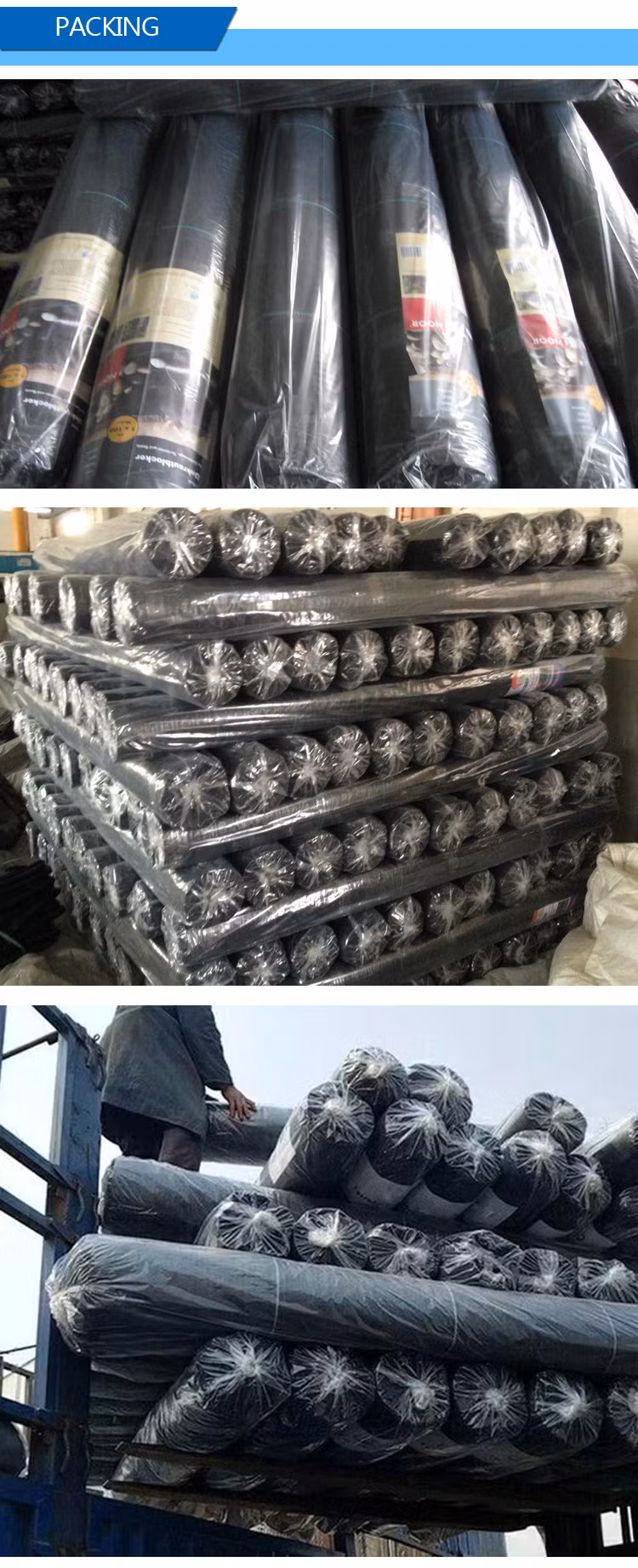 China Factory Produces PP Black and Green Woven Ground Cover