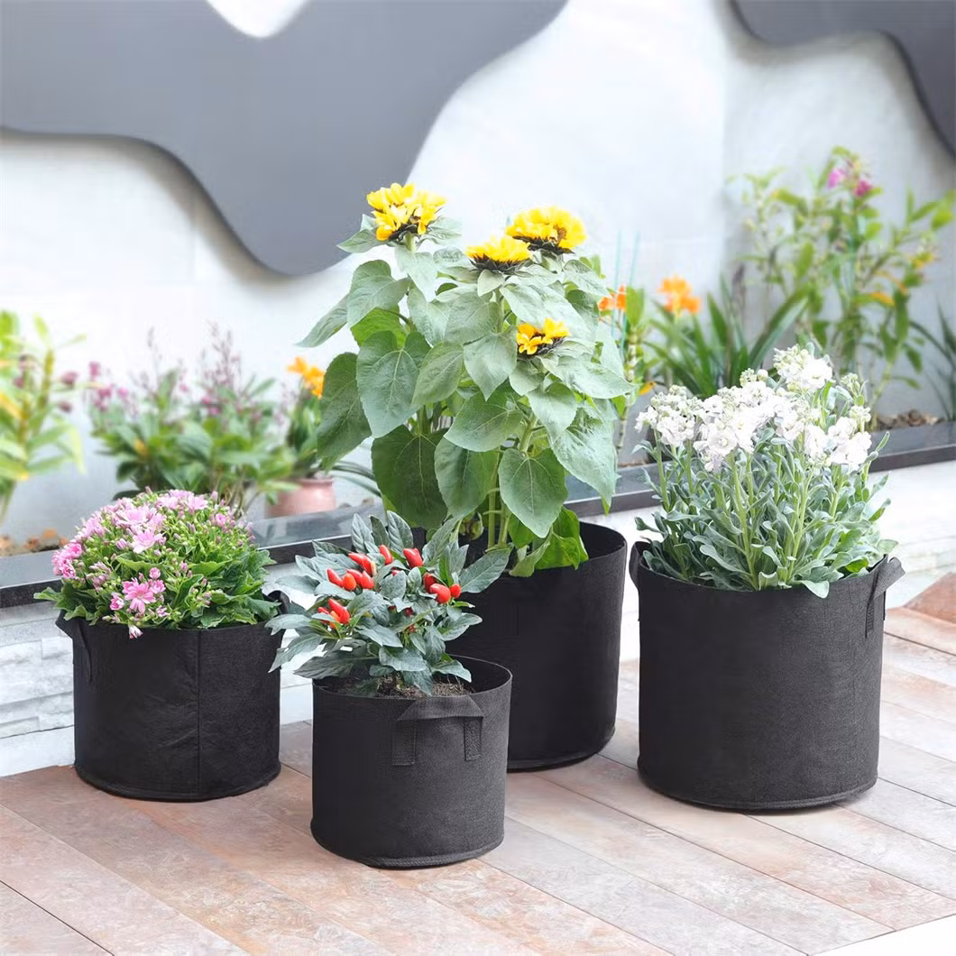 Heavy Duty 5-Pack 10 Gallon Plant Grow Bags for Gardening