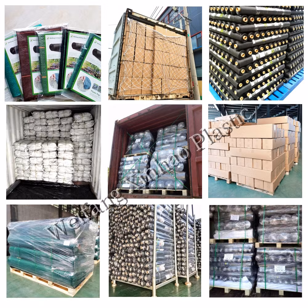 Hot Sale PP PE Woven Weed Mat Ground Cover for Agriculure Using