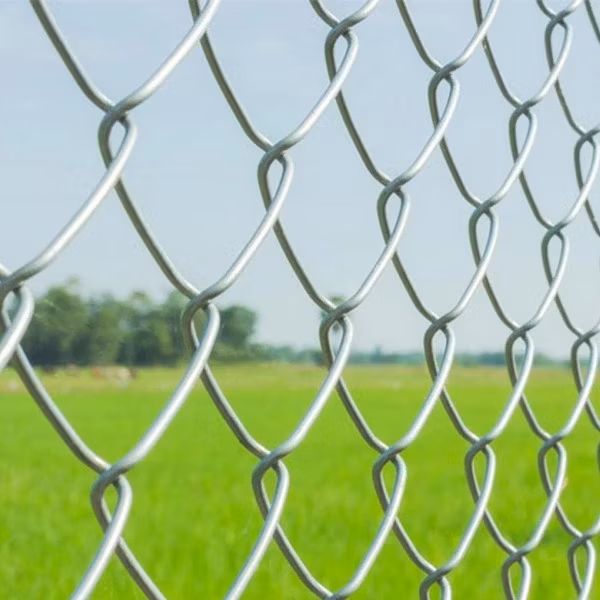 9 Gauge 5*5cm 6 FT Galvanized Diamond Mesh Wire Chain Link Fence