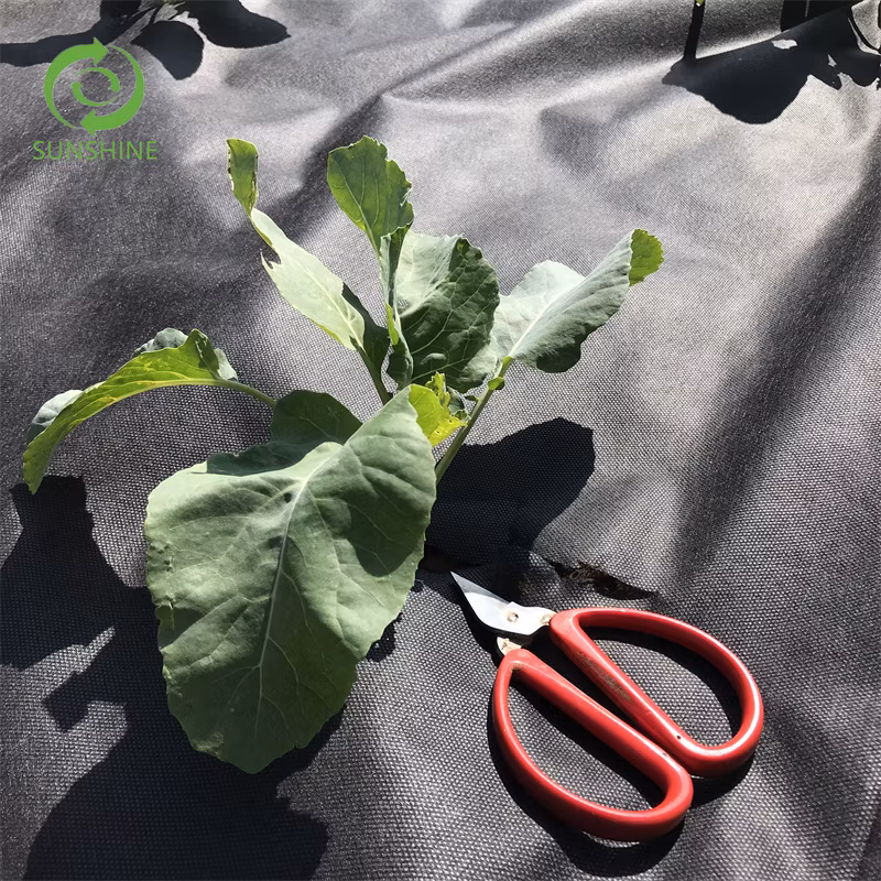 Landscape UV Treated Non-Woven Fabric for Agriculture and Gardening