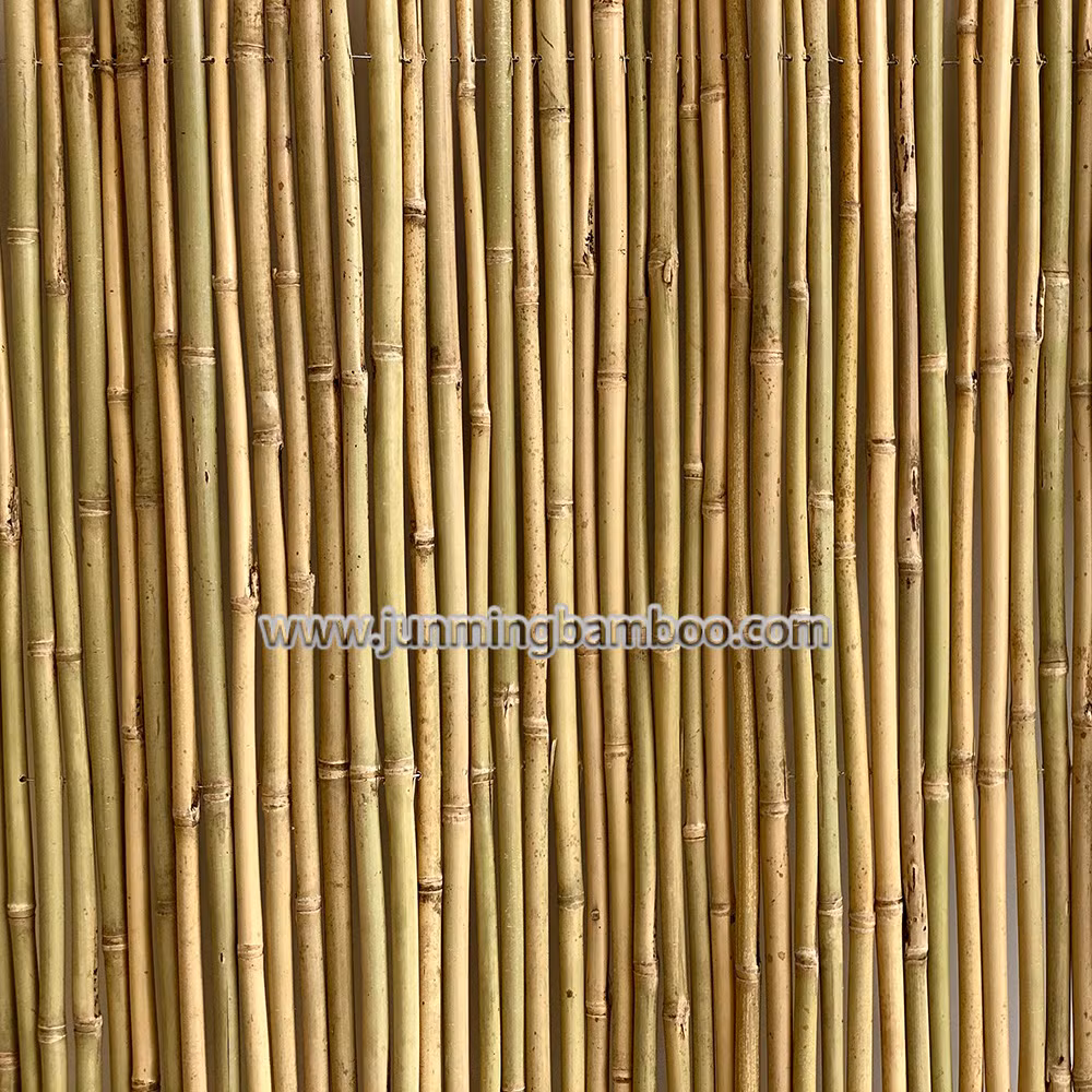 Dia. 28-35mm Wholesale Price Decorative Building Bamboo Fence Large Bamboo Natural Bamboo Poles