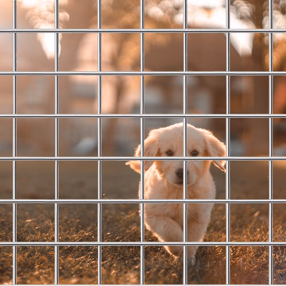 Building Panel Low Price Wire Mesh Fence 6X6 PVC Fence