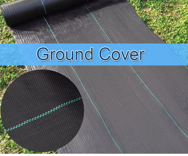 Rectangular Plastic Pool Cover for Above Ground Swimming Pool