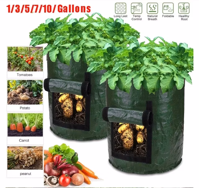 Innovative Plant Cultivation Grow Bags Ideal for Urban Gardening with Space Saving Designs for Small Balconies