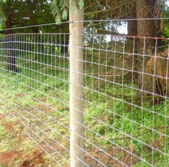 High Tensile Fixed Knot Deer Fence/Field Fence/Sheep Fence/Cattle Fence