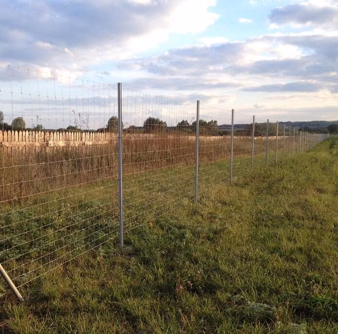 High Tensile Fixed Knot Deer Fence/Field Fence/Sheep Fence/Cattle Fence