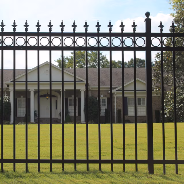 Decorative Wrought Iron Fencing Panel Dog Proof
