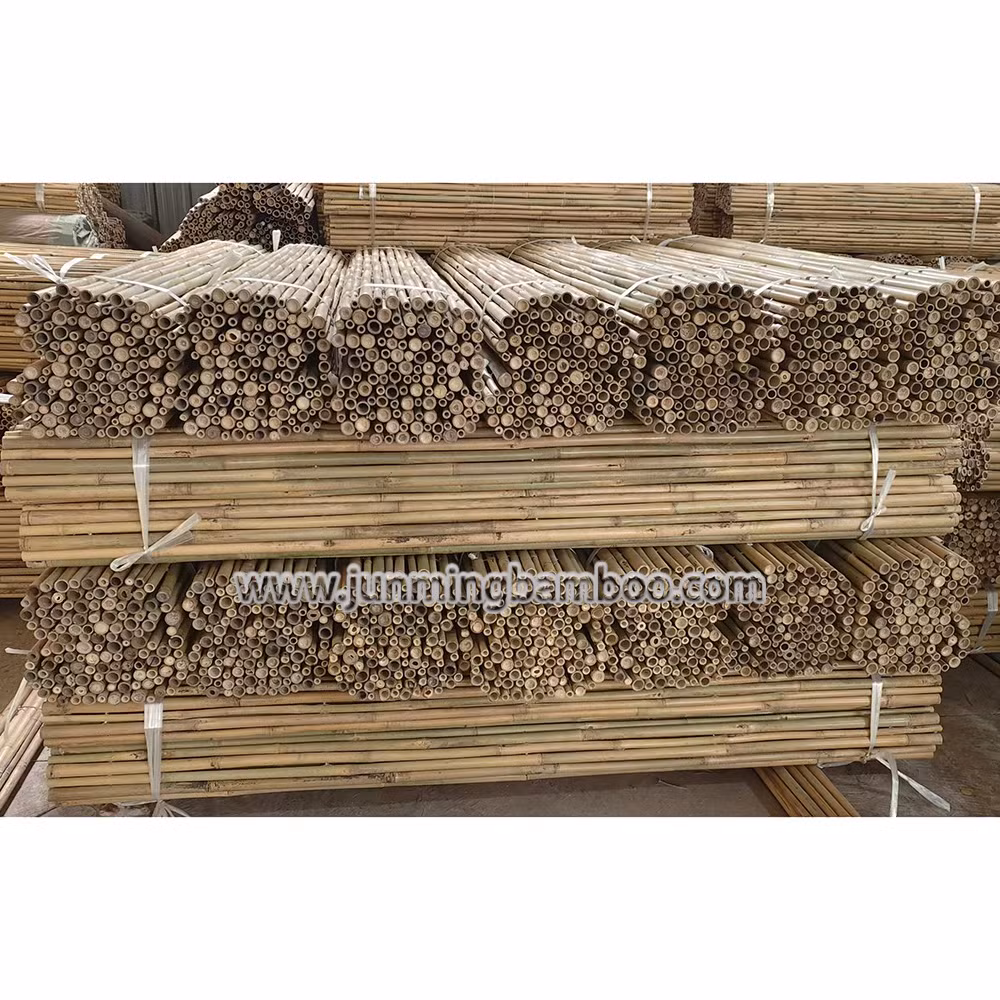 Dia. 28-35mm Wholesale Price Decorative Building Bamboo Fence Large Bamboo Natural Bamboo Poles