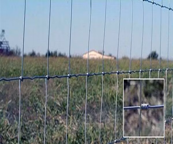 HDG High Tensile Deer Fence / Cattle Fence